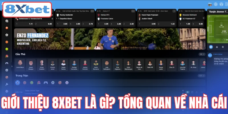 gioi-thieu-8xbet-la-gi-tong-quan-ve-nha-cai