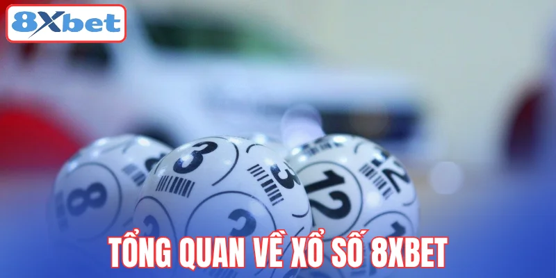 tong-quan-ve-xo-so-8xbet